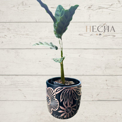 Maceta Primavera de concreto 13x13 hecha a mano | Decoración