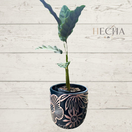 Maceta Primavera de concreto 13x13 hecha a mano | Decoración