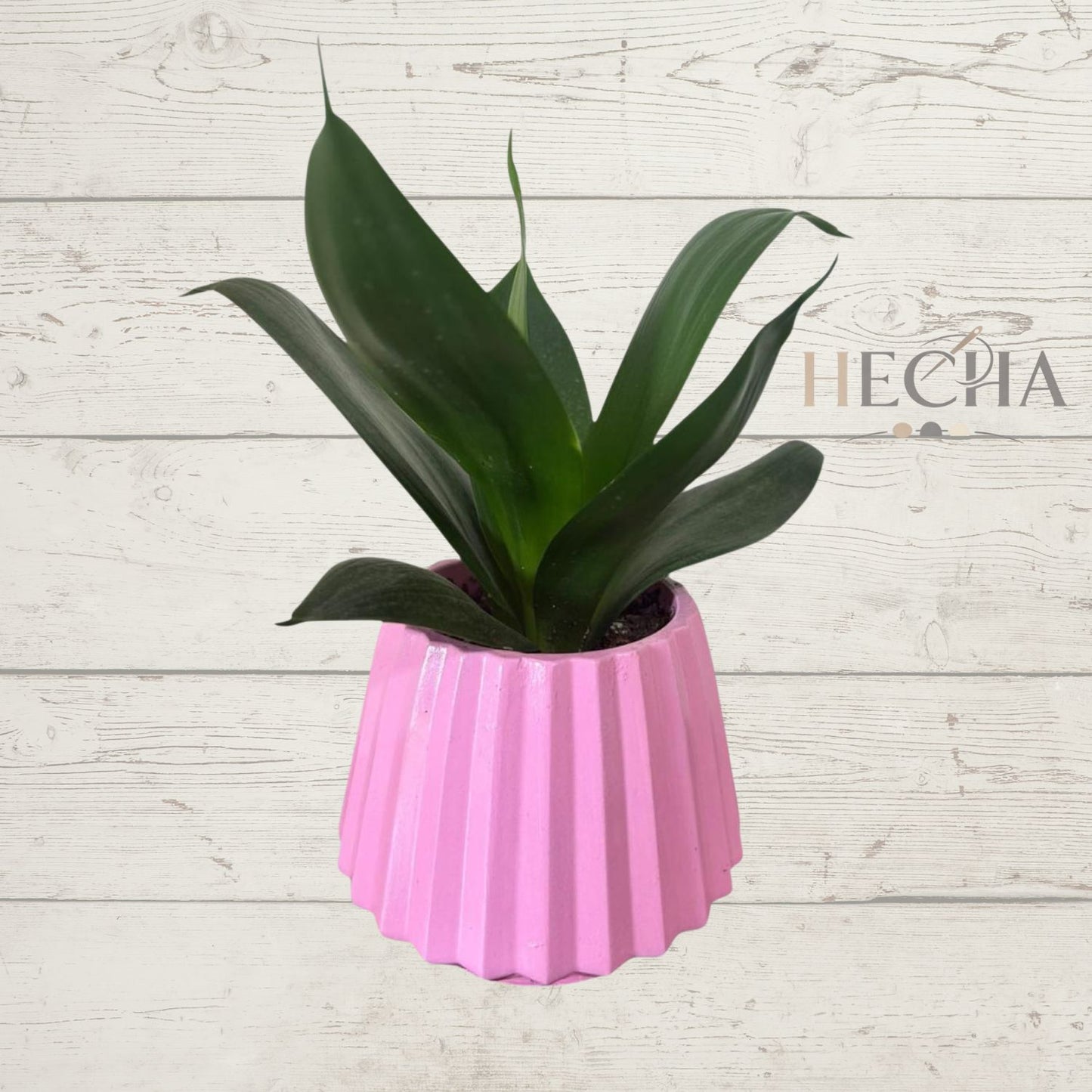 Maceta Diamante Rosa de Concreto 12x11 Hecha a Mano